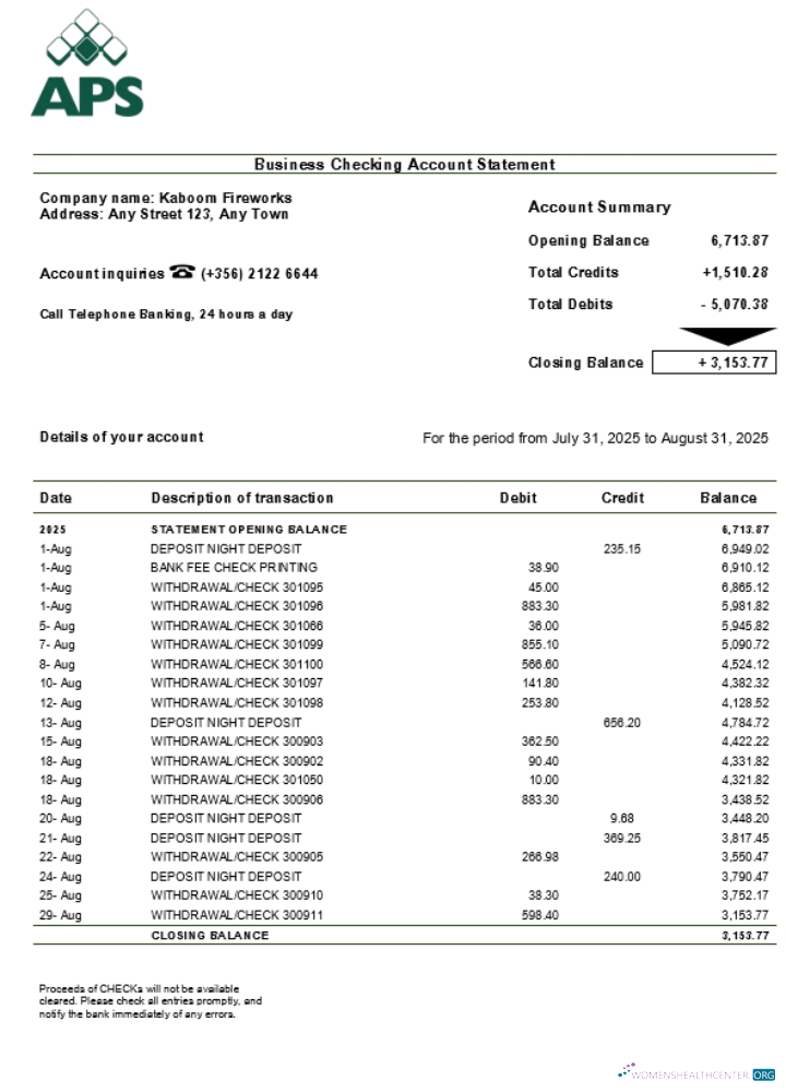 Download Maltese APS business account statement Word and PDF template (1) Photoshop template